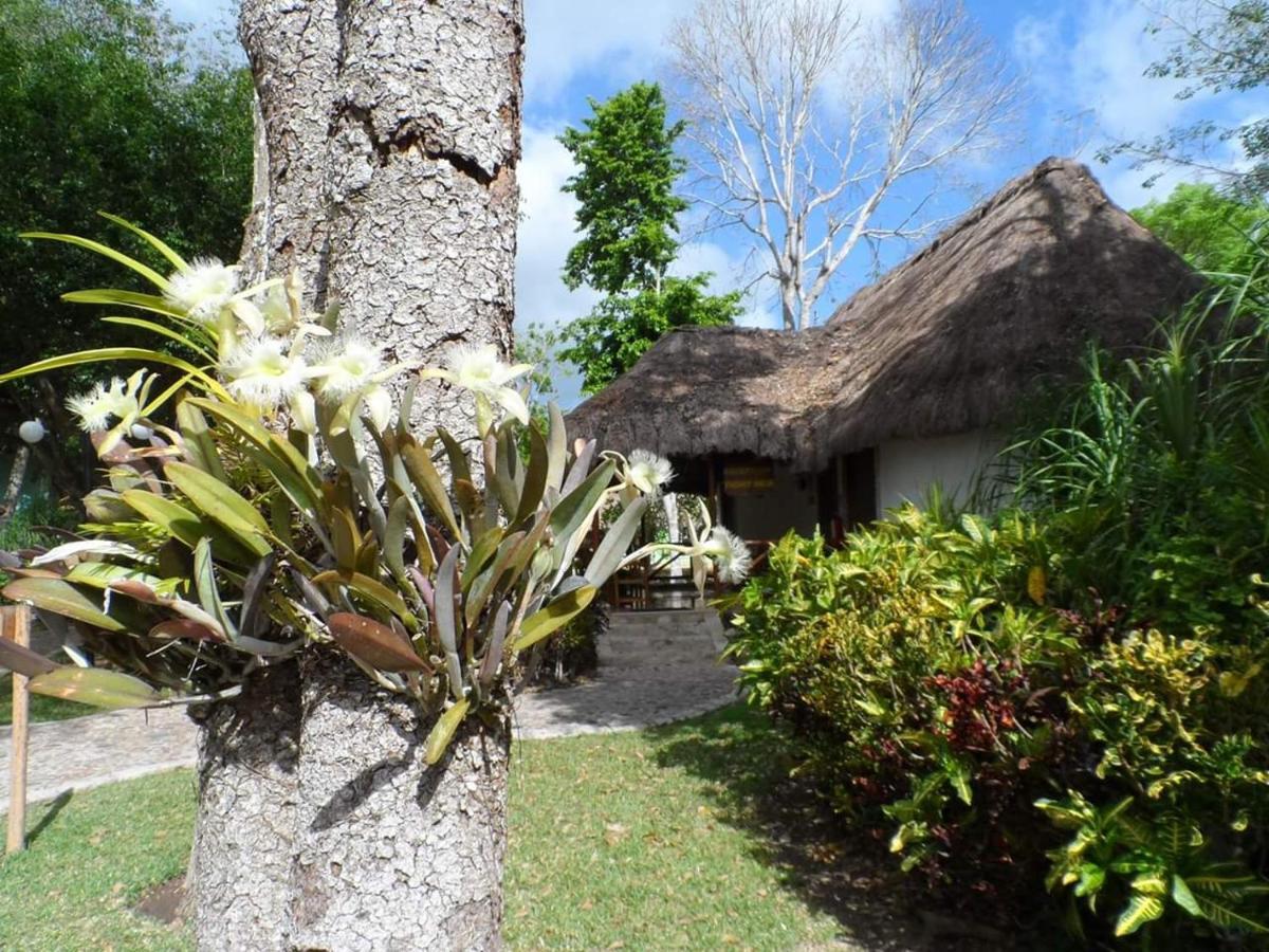 Hotel Villas Chicanna Exteriér fotografie
